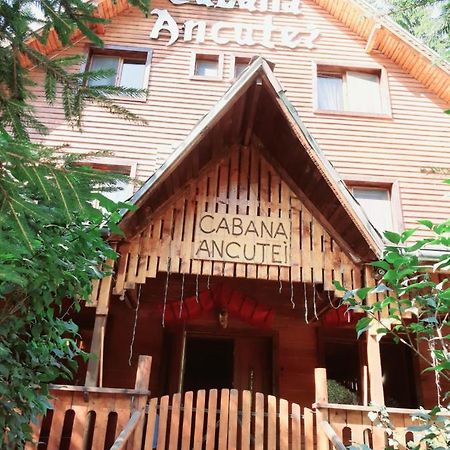 Cabana Ancutei Rucar  Exterior photo