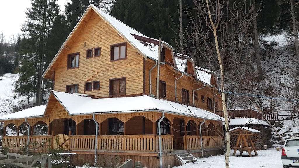 Cabana Ancutei Rucar  Exterior photo
